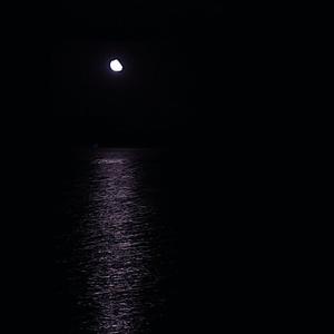 欧洲性xxxx免费视频下载软件
